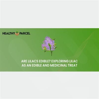 Are Lilac Flowers Edible? Exploring the Culinary and Medicinal Uses of Lilacs