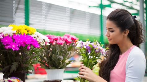 Can You Buy Flowers with EBT at Walmart? Exploring the Intersection of Policy and Personal Expression