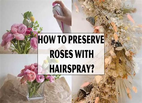 Does Hairspray Preserve Flowers? And Can It Also Turn Them Into Musical Instruments?