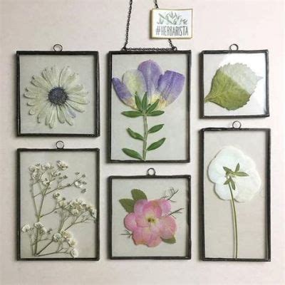 How Do You Press Flowers: A Journey Through Time and Techniques