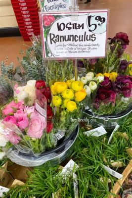 What Flowers Does Trader Joe's Have Right Now: A Blooming Discussion on Seasonal Selections and Beyond