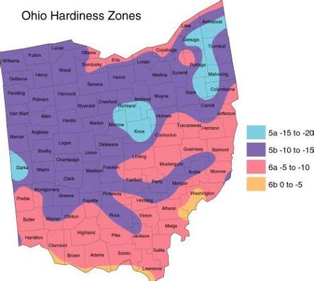 What Zone is Ohio for Planting Flowers: A Blooming Discussion on Gardening Zones and Beyond